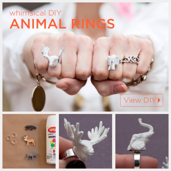 animal-ring-diy-feature-040714